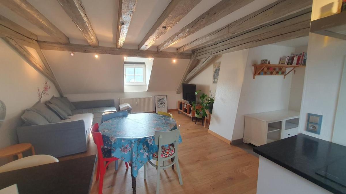 Appartement Mon Ptit Nid T3 Duplex Au Coeur De La Krutenau