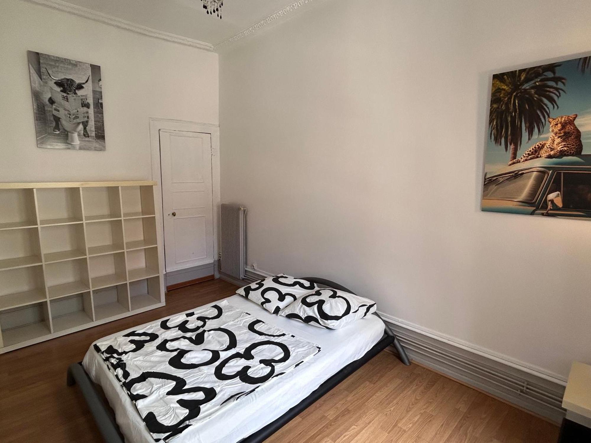 Appartement Spacieux En Centre