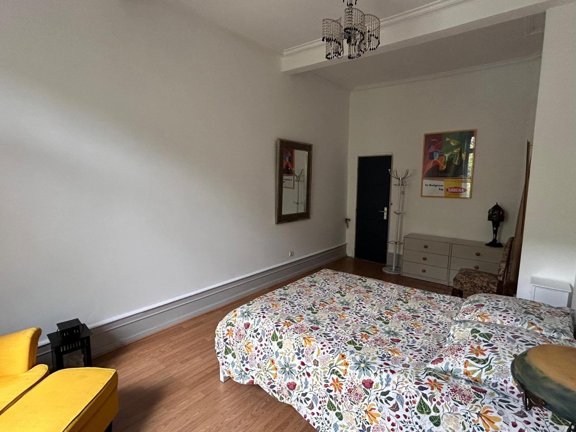 Appartement Spacieux En Centre Strasbourg