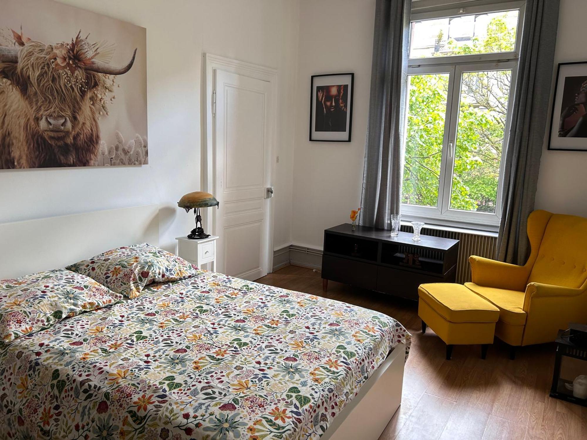 Spacieux En Centre Appartement *