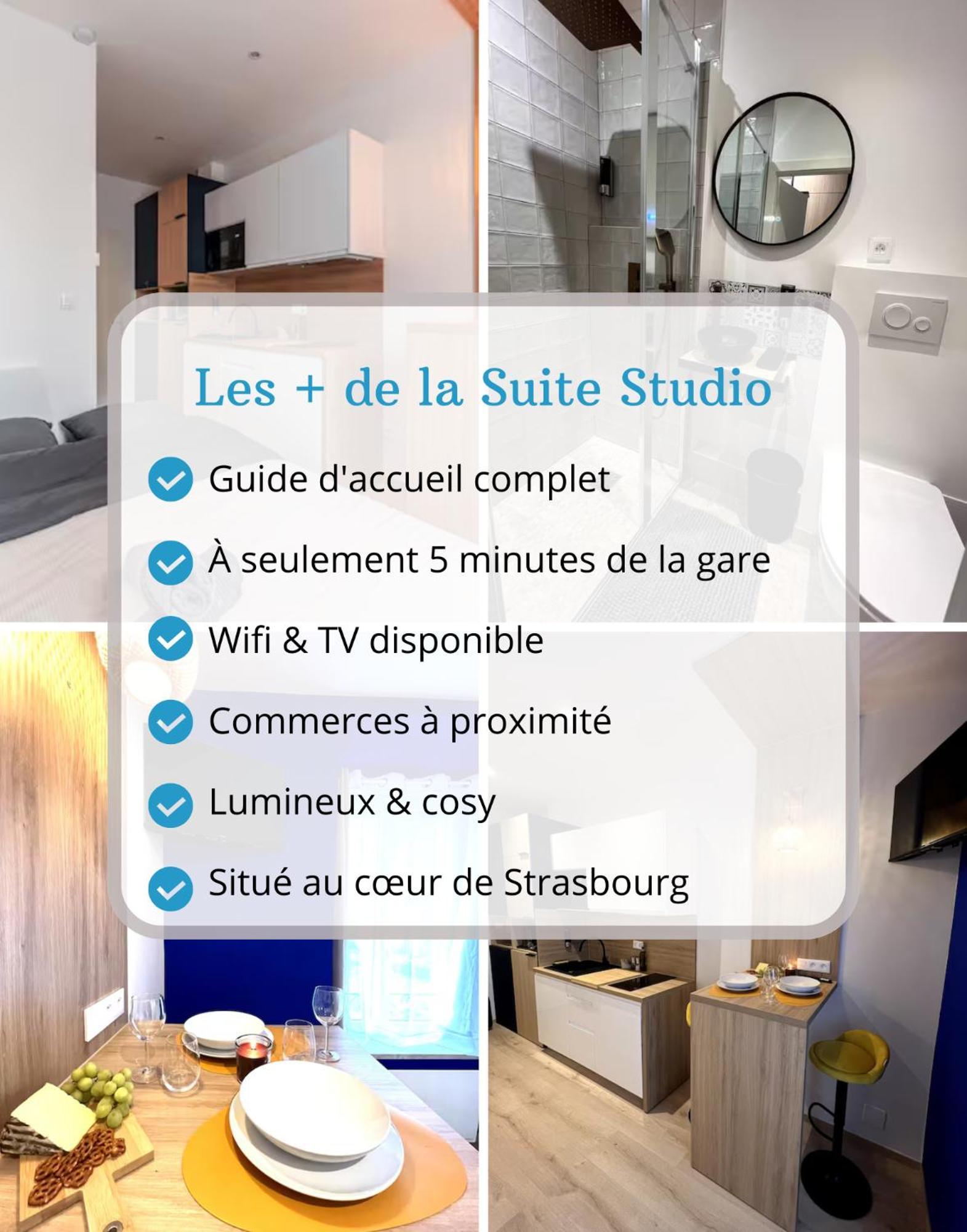 - Gare - Petite France - Commerces A Proximite Appartement Straatsburg