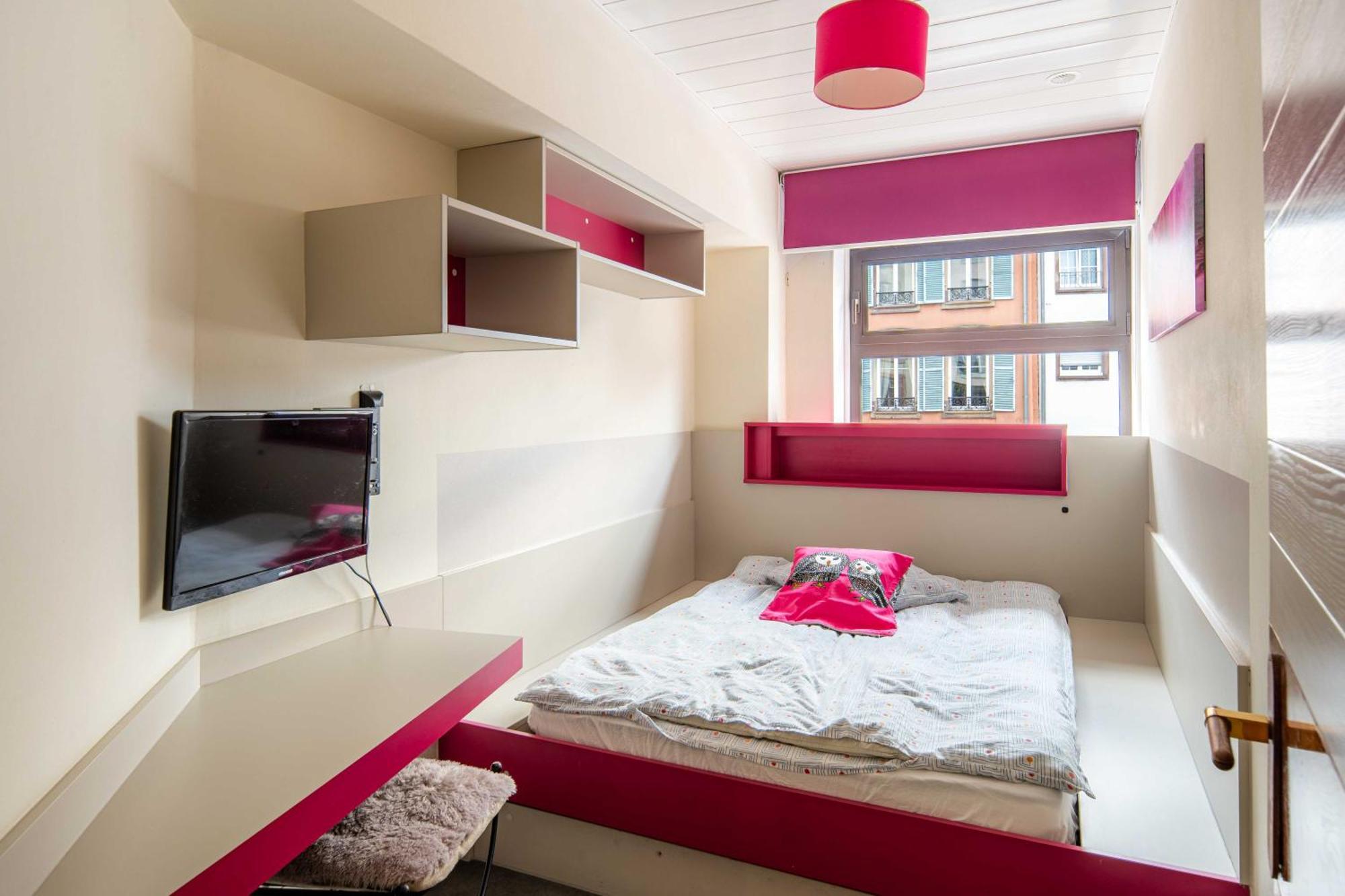 Cozy And Stylish With A-c In Center! Appartement Strasbourg