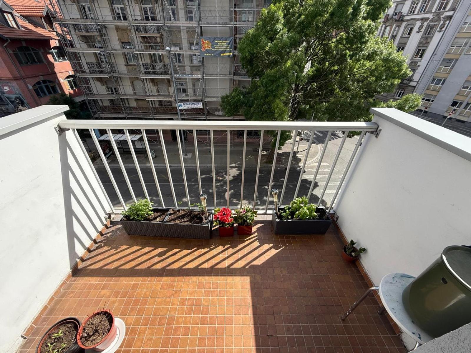 Petite France Avec 1 Parking Straatsburg