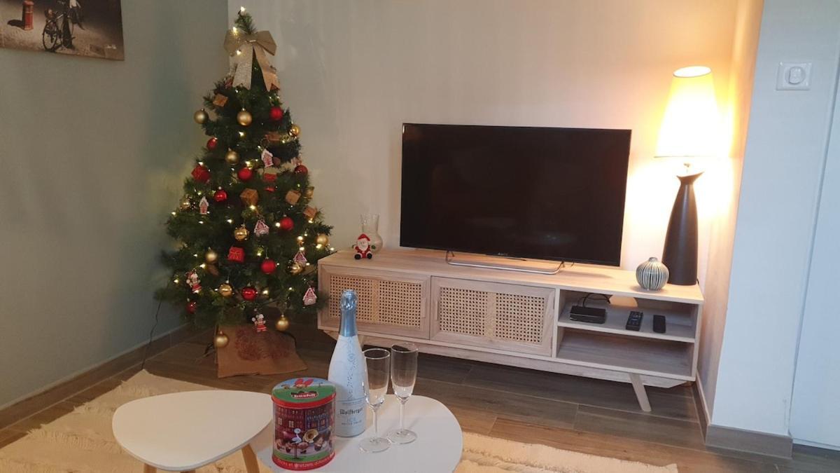 Appartement Le 11 - Terrasse Et Jardin A 10 Minutes A Pieds Du Centre-ville
