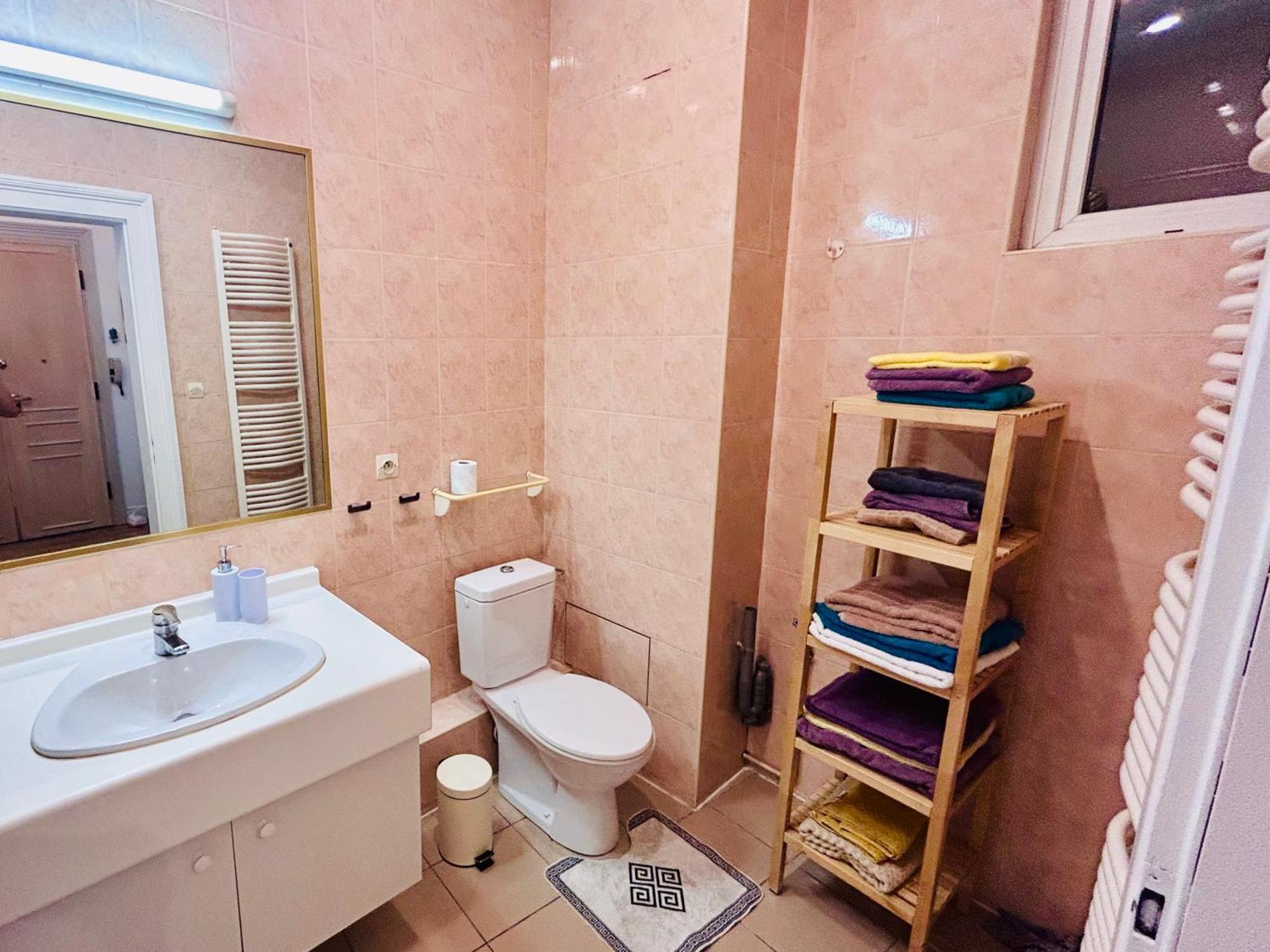 Appartement Spacieux En Centre Straatsburg