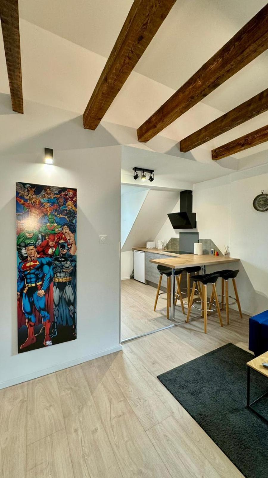 3 Pieces Proche Hyper Centre Appartement Straatsburg