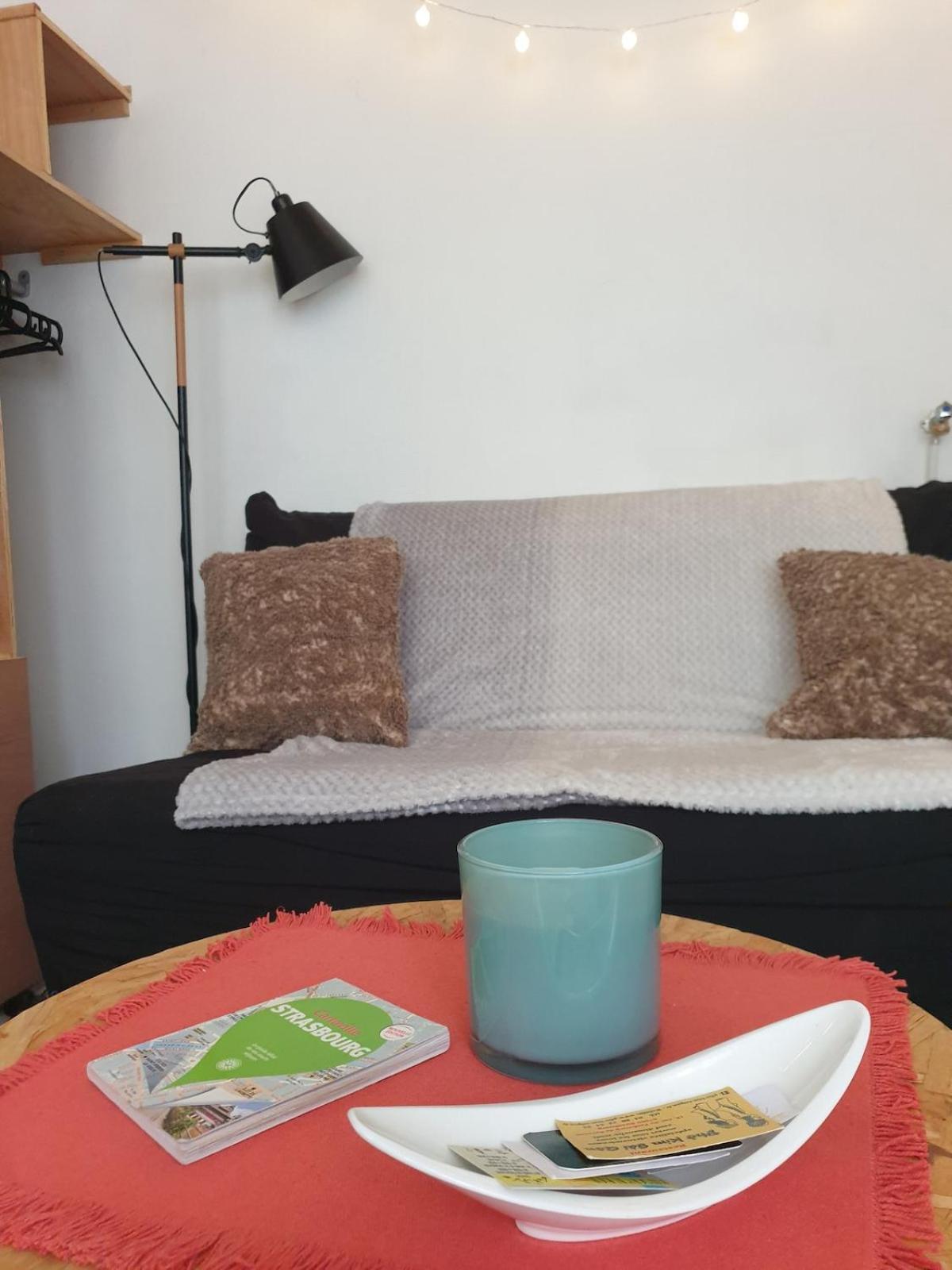 Studio Aurelie Breakfast Et Proche Centre Historique Apartment Strasbourg