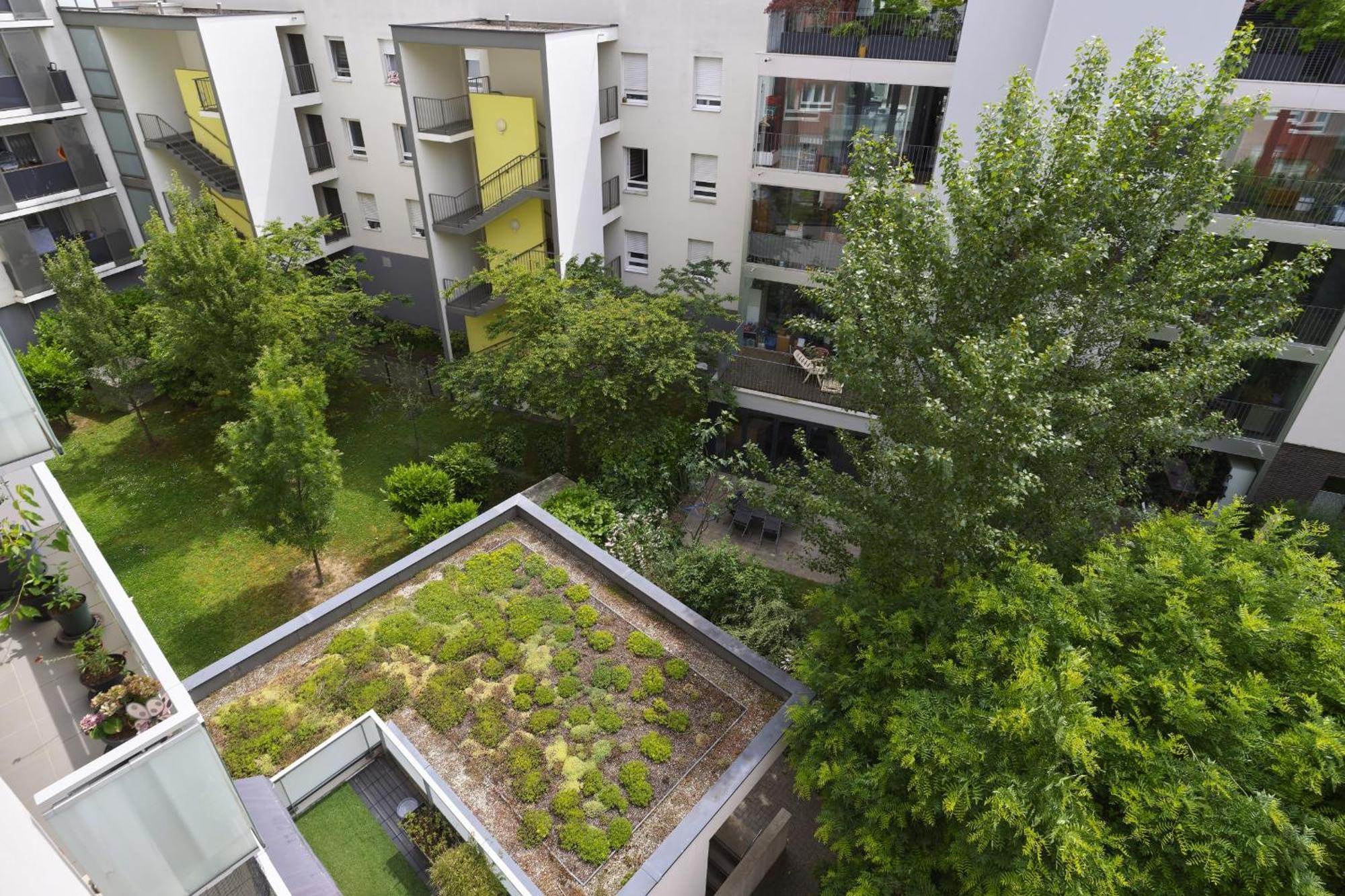 Appartement Dans Les Etoiles - 2 Bedroom With Free Parking Near To The City Center Strasbourg