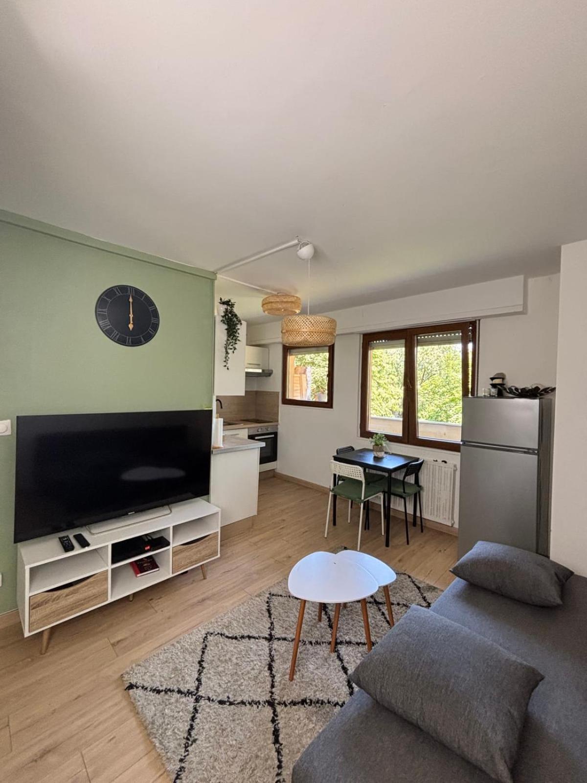 Soh Rent Wifi Terrasse Apartment Strasbourg