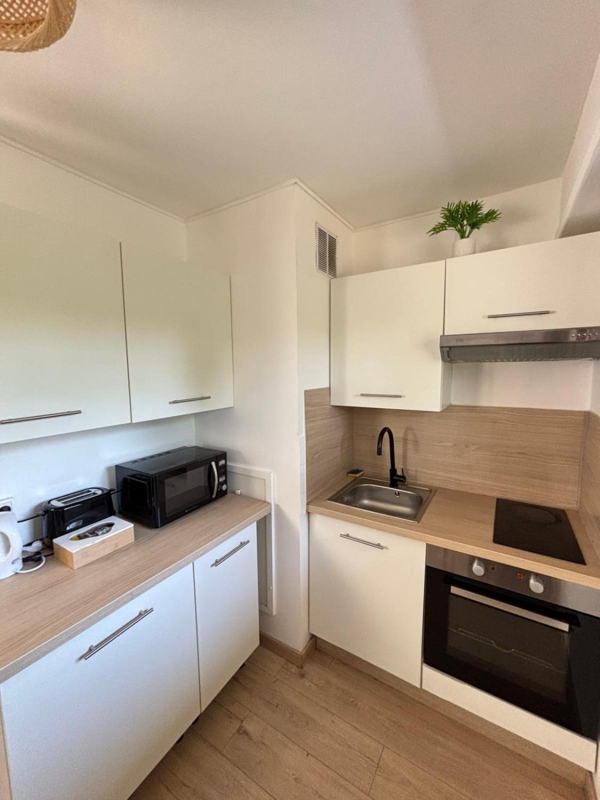 Soh Rent Wifi Terrasse Apartment Strasbourg
