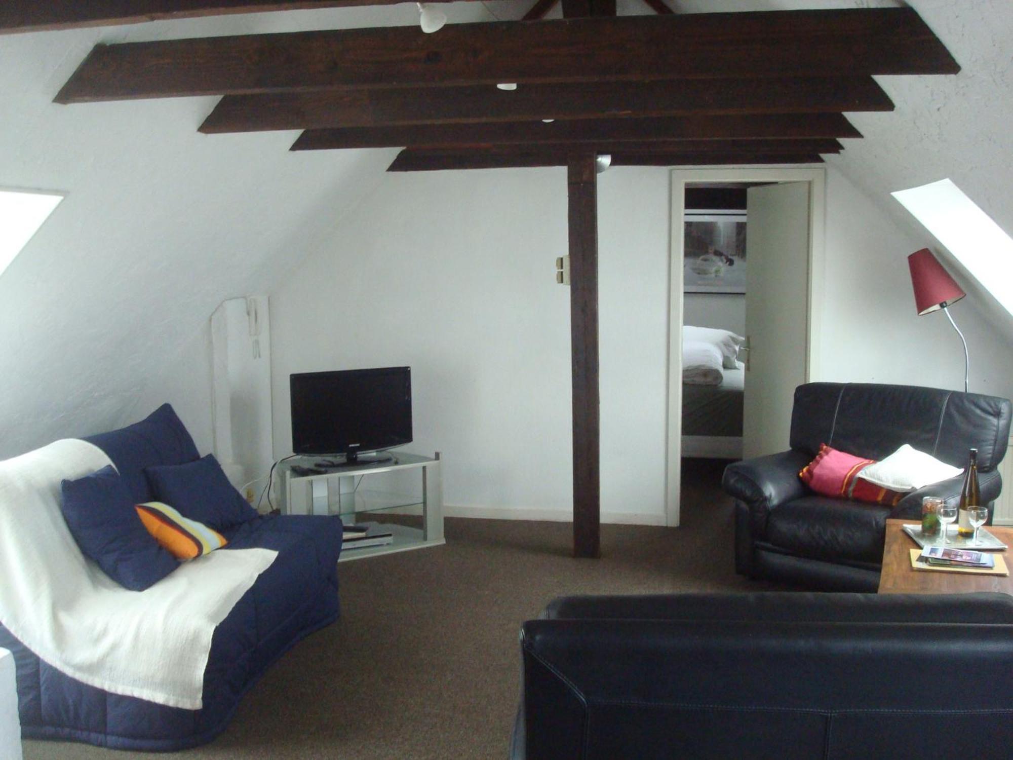 Schiffmatt Apartment Strasbourg