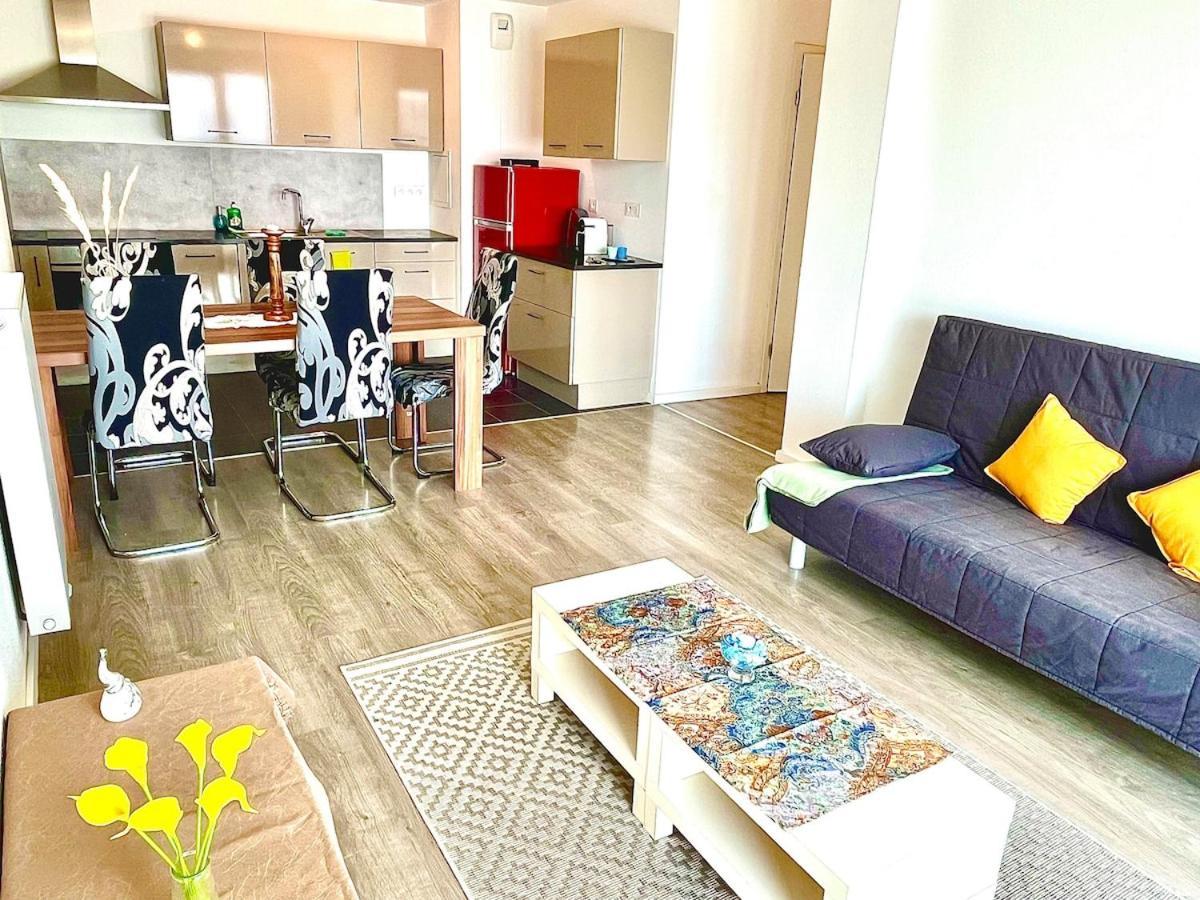 T3 Avec Balcon Et Parking Straßburg