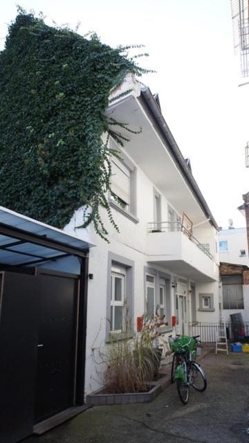 Large Duplex With Terrace *