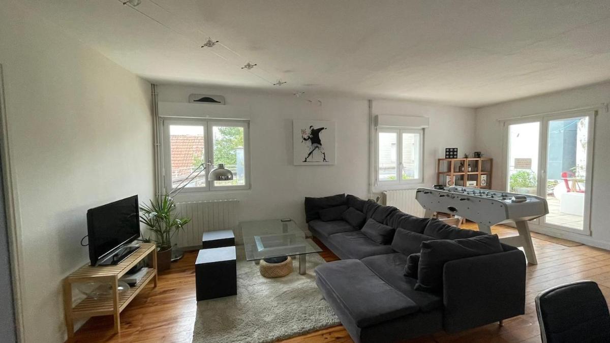 Large Duplex With Terrace * Straßburg
