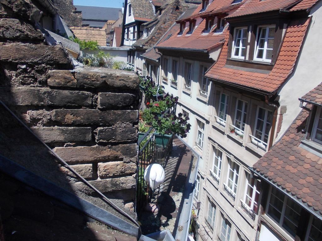 Apartment Unik's & Terraza Straßburg