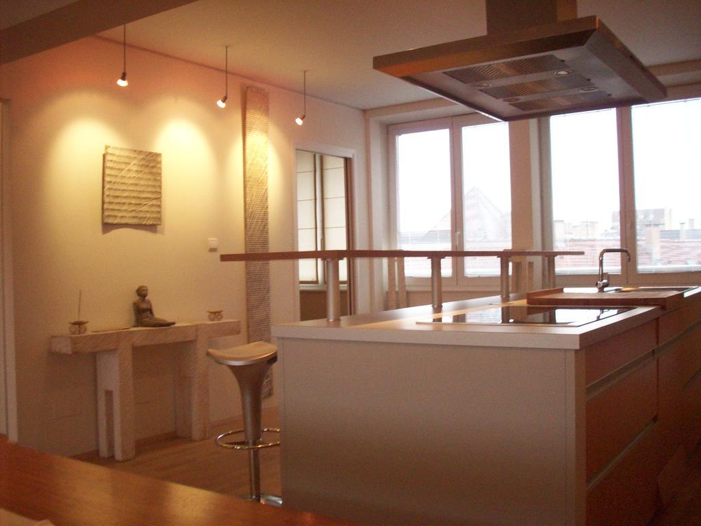 Loft Kleber Appartement Strasbourg
