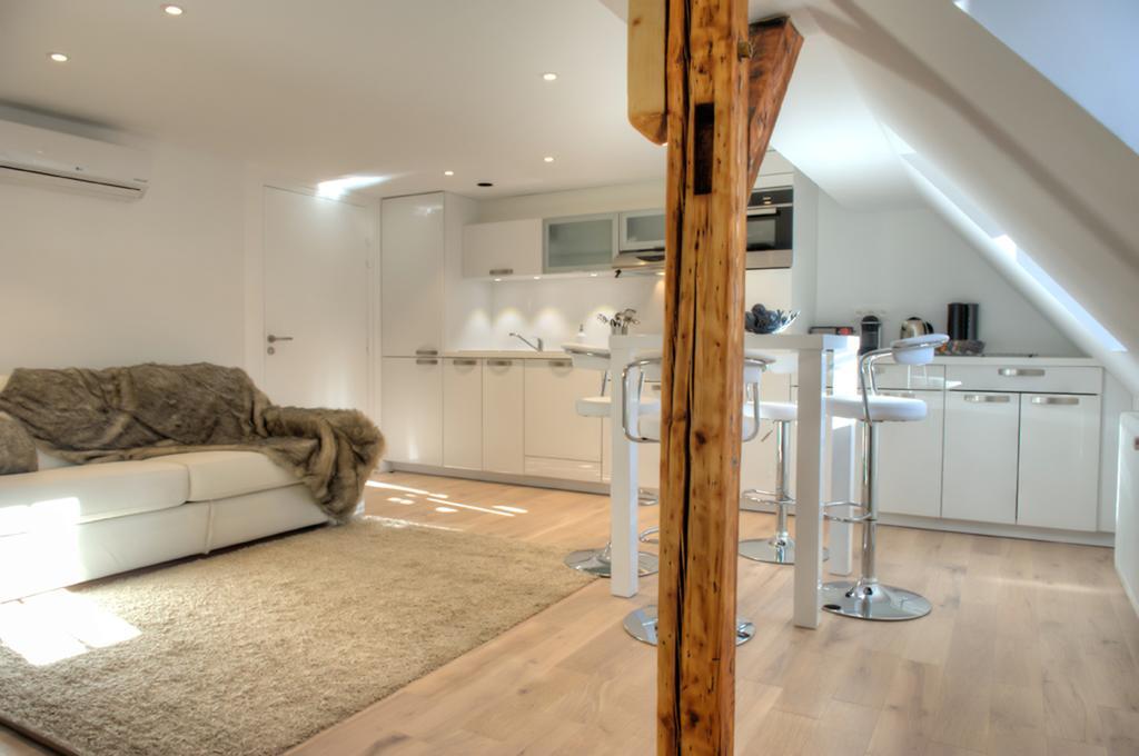 Appartement Le Dome - Quartier Cathédrale Strasbourg