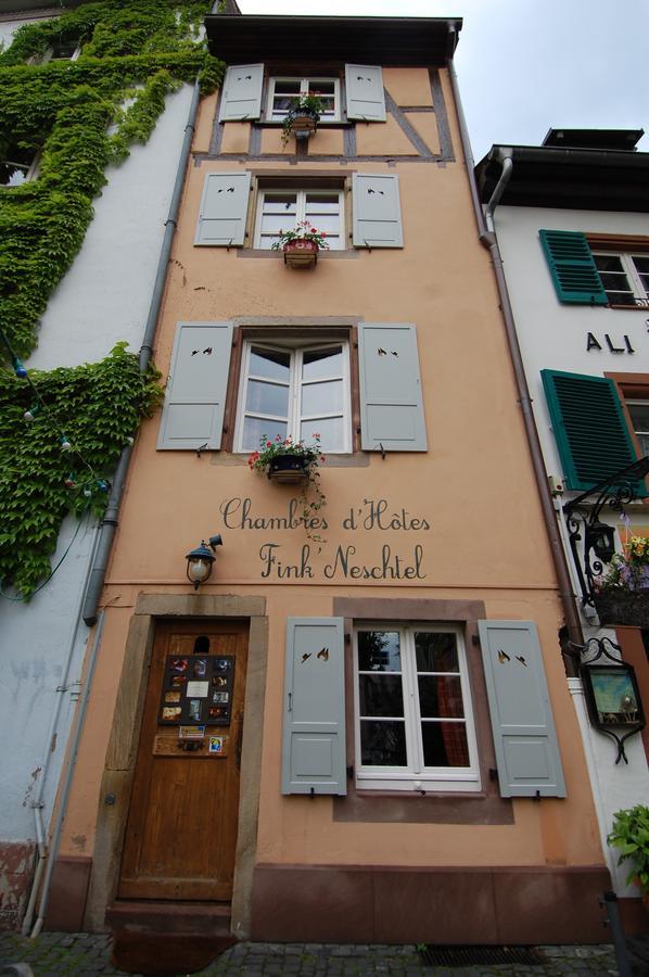 Fink'neschtel - Maison D'hôtes Maison d'hôtes Strasbourg