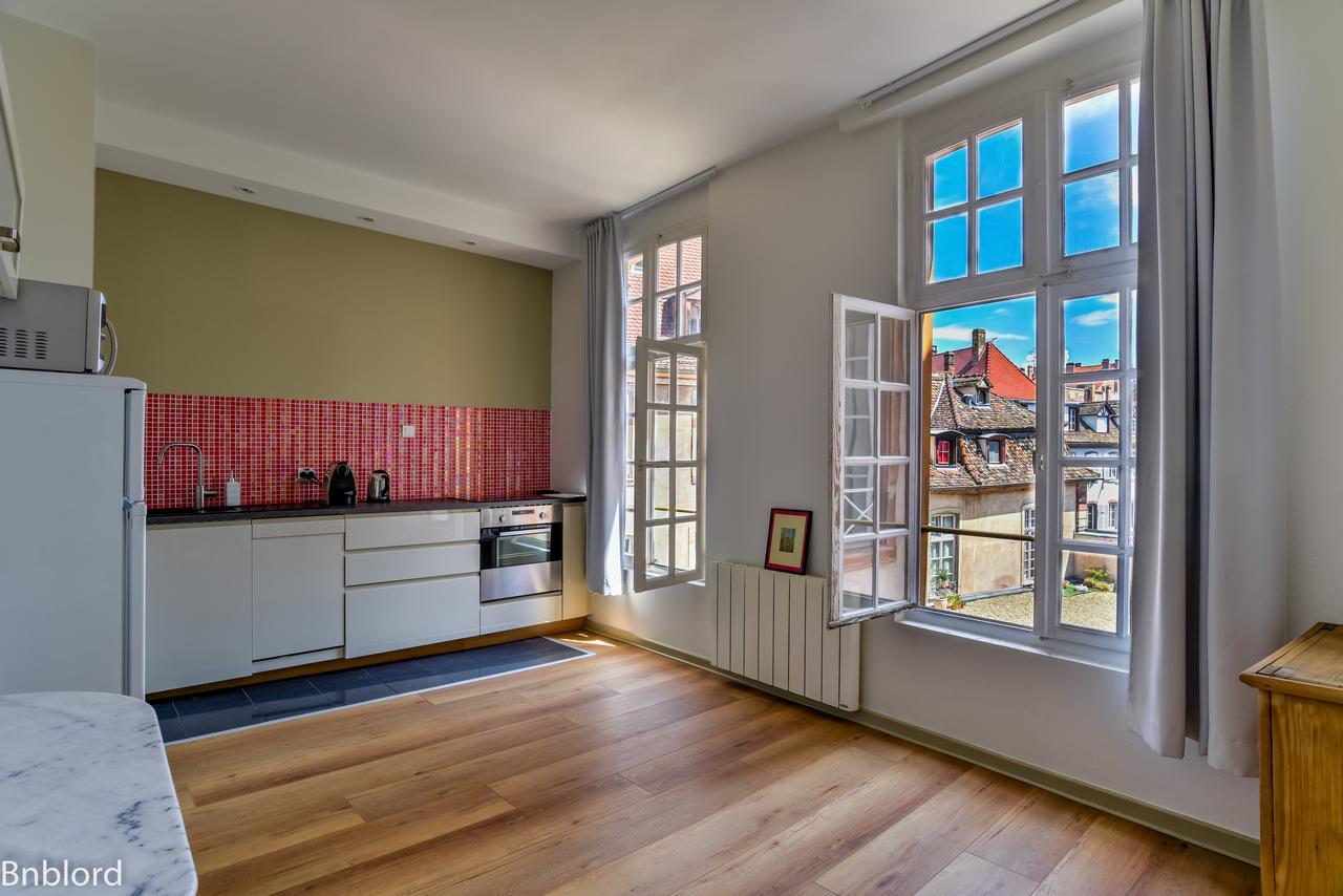 Appartement Bel Hypercentre De Straatsburg