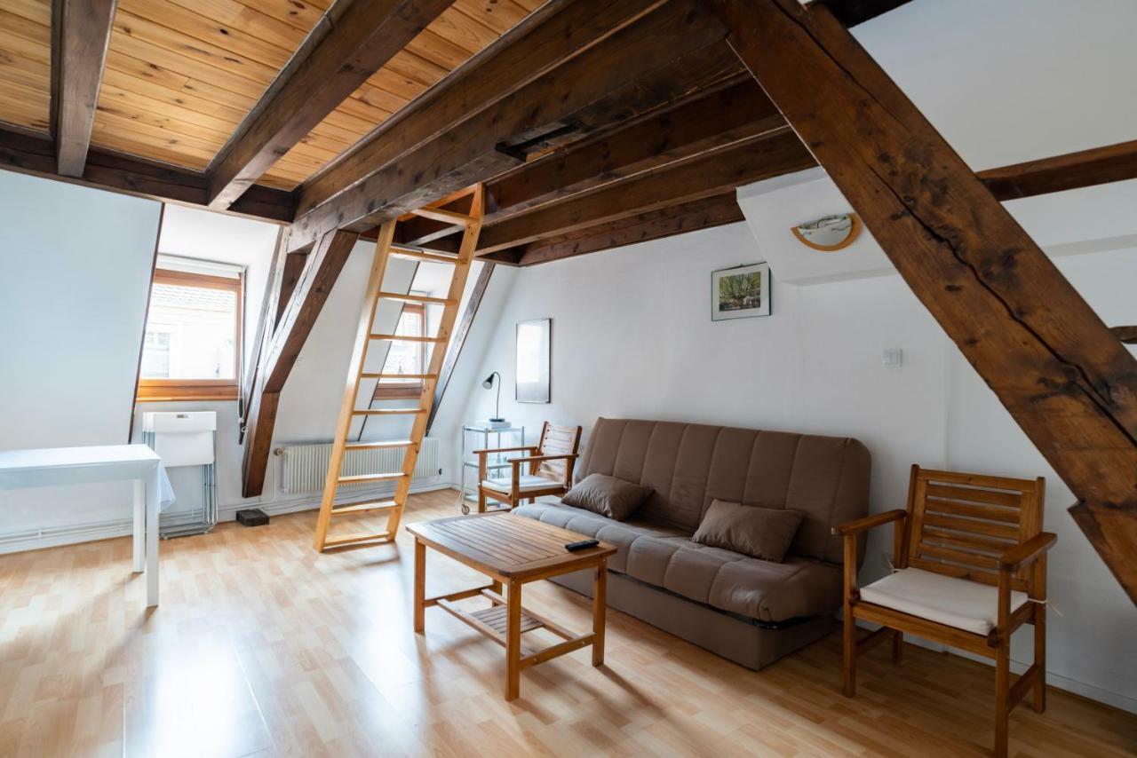 Apartment Citycosy - Budget St Thomas Serruriers Strasbourg