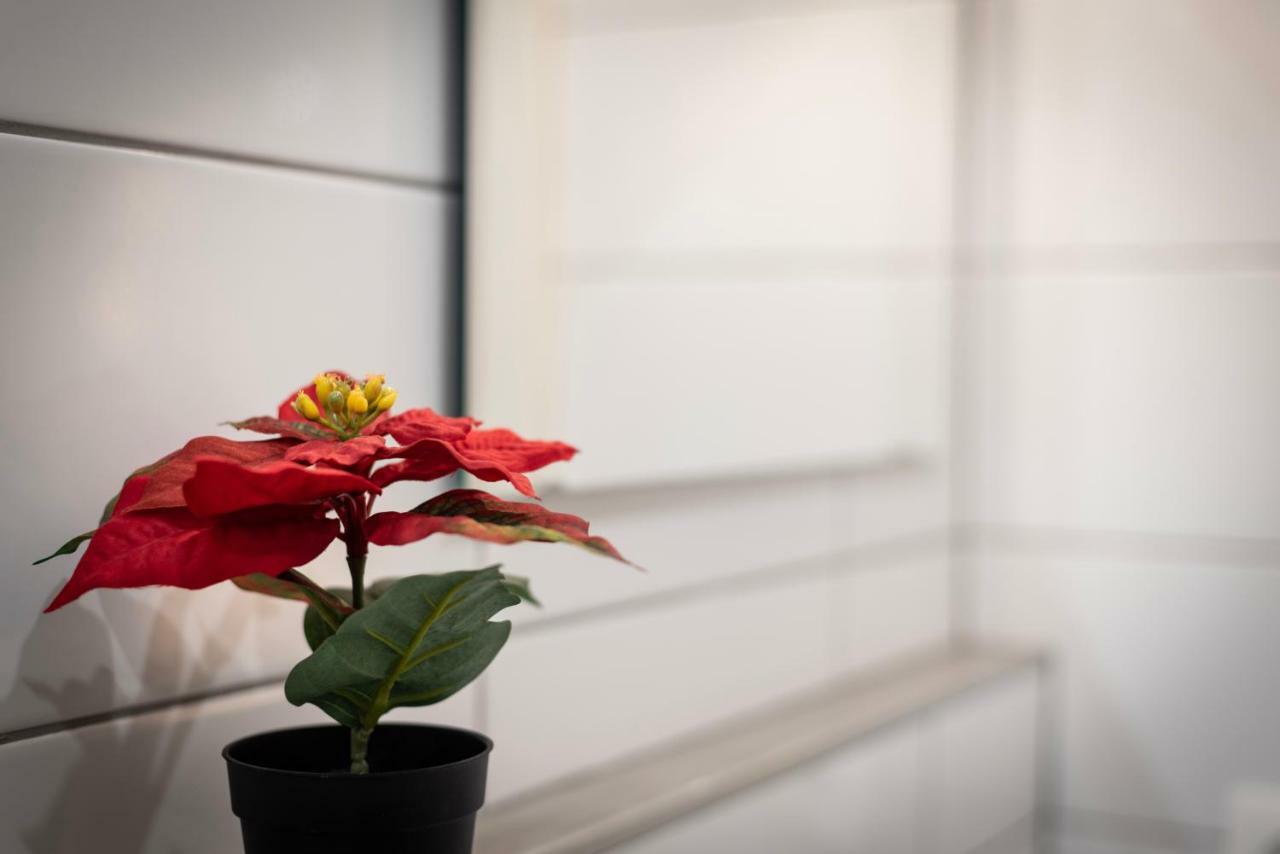Citycosy - Hirtz Orangerie Apartment