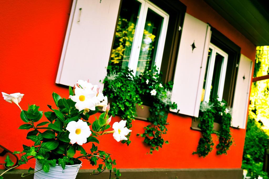 Chambres D'hotes Terre De Groseilles * Strasbourg