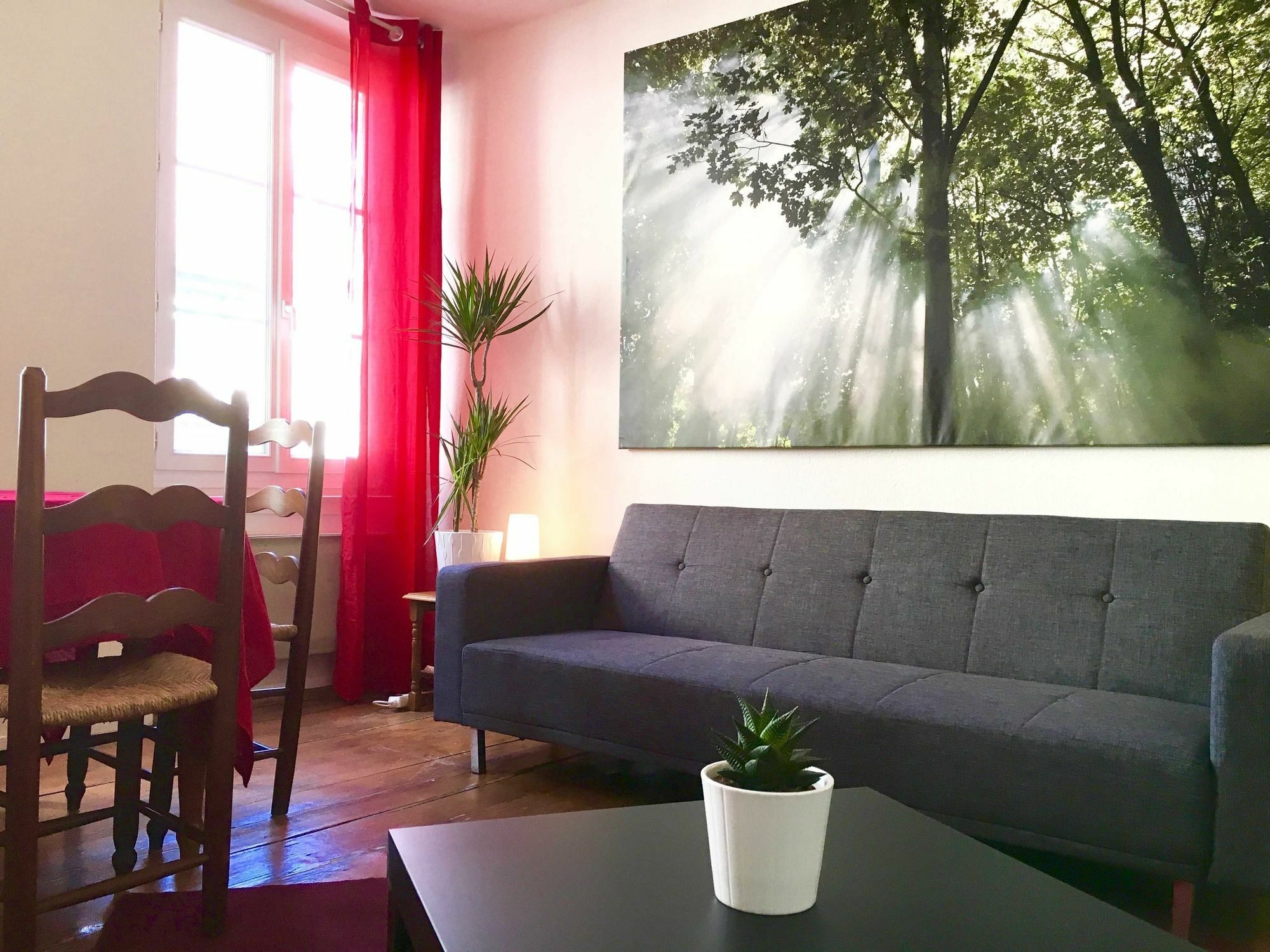 Rue Des Maroquins Apartment Strasbourg