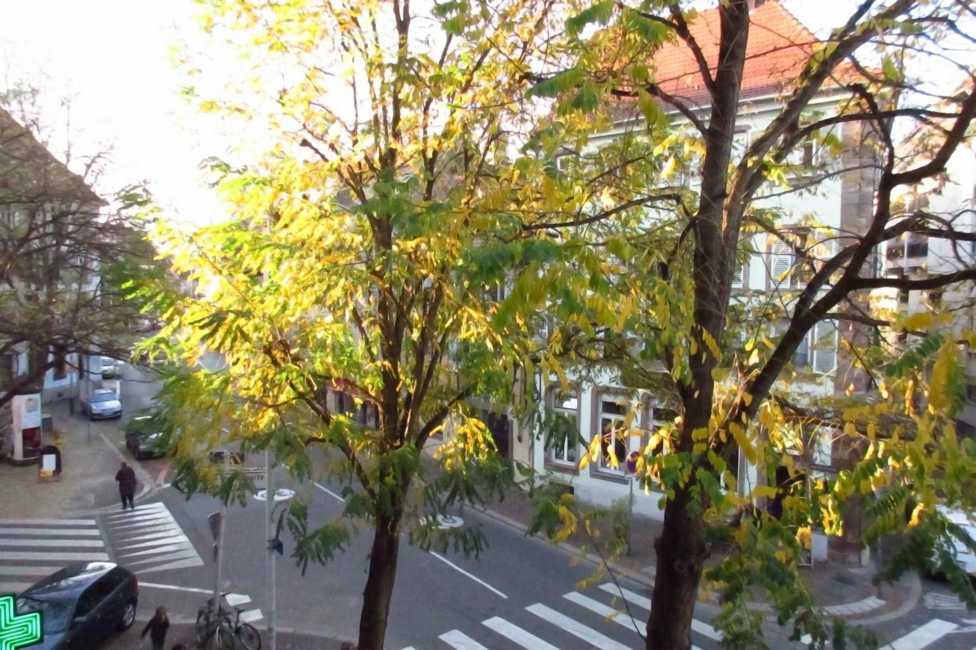 Appartement Duplex Centre-ville Finkwiller 2 *