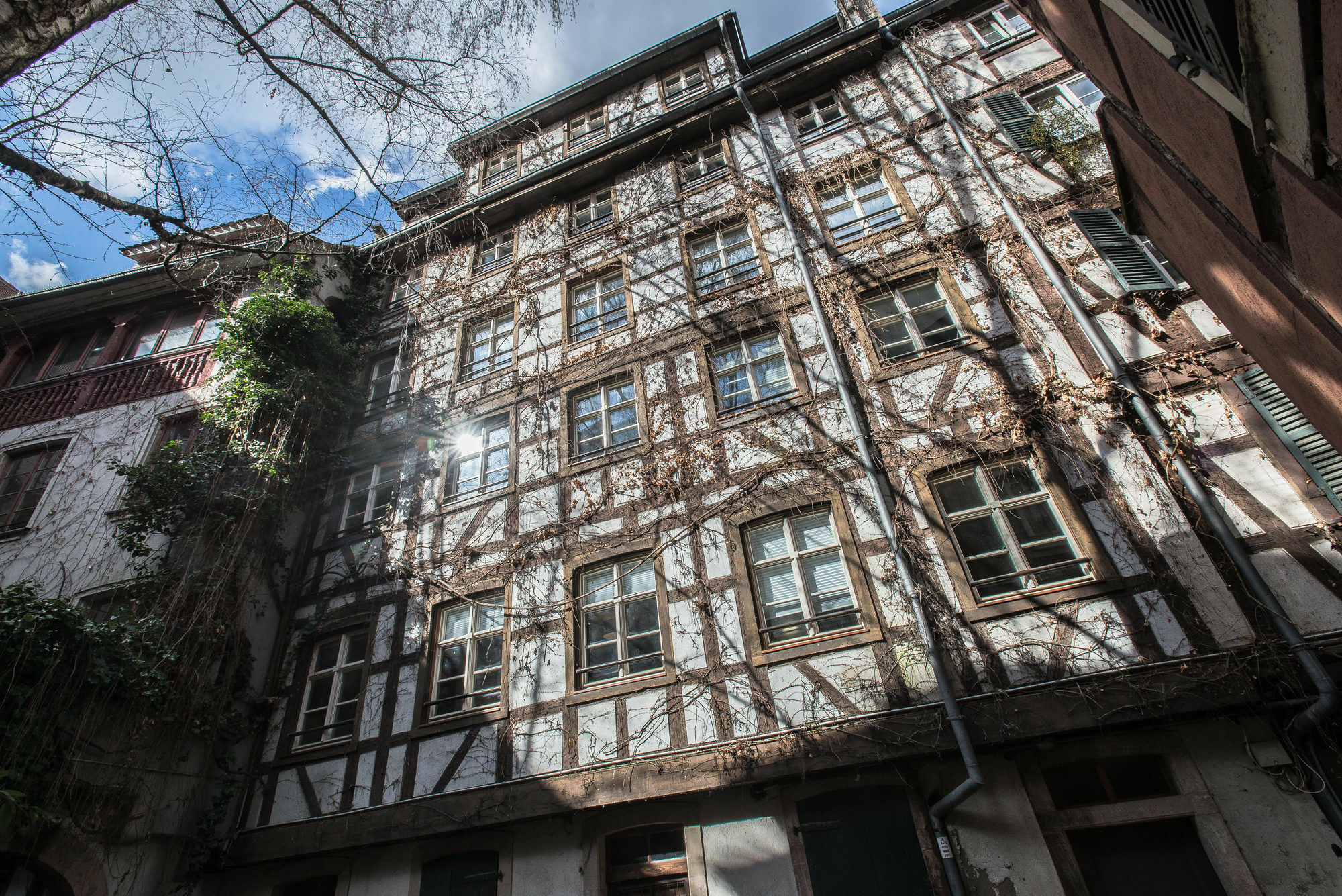 Des Moulins Straatsburg