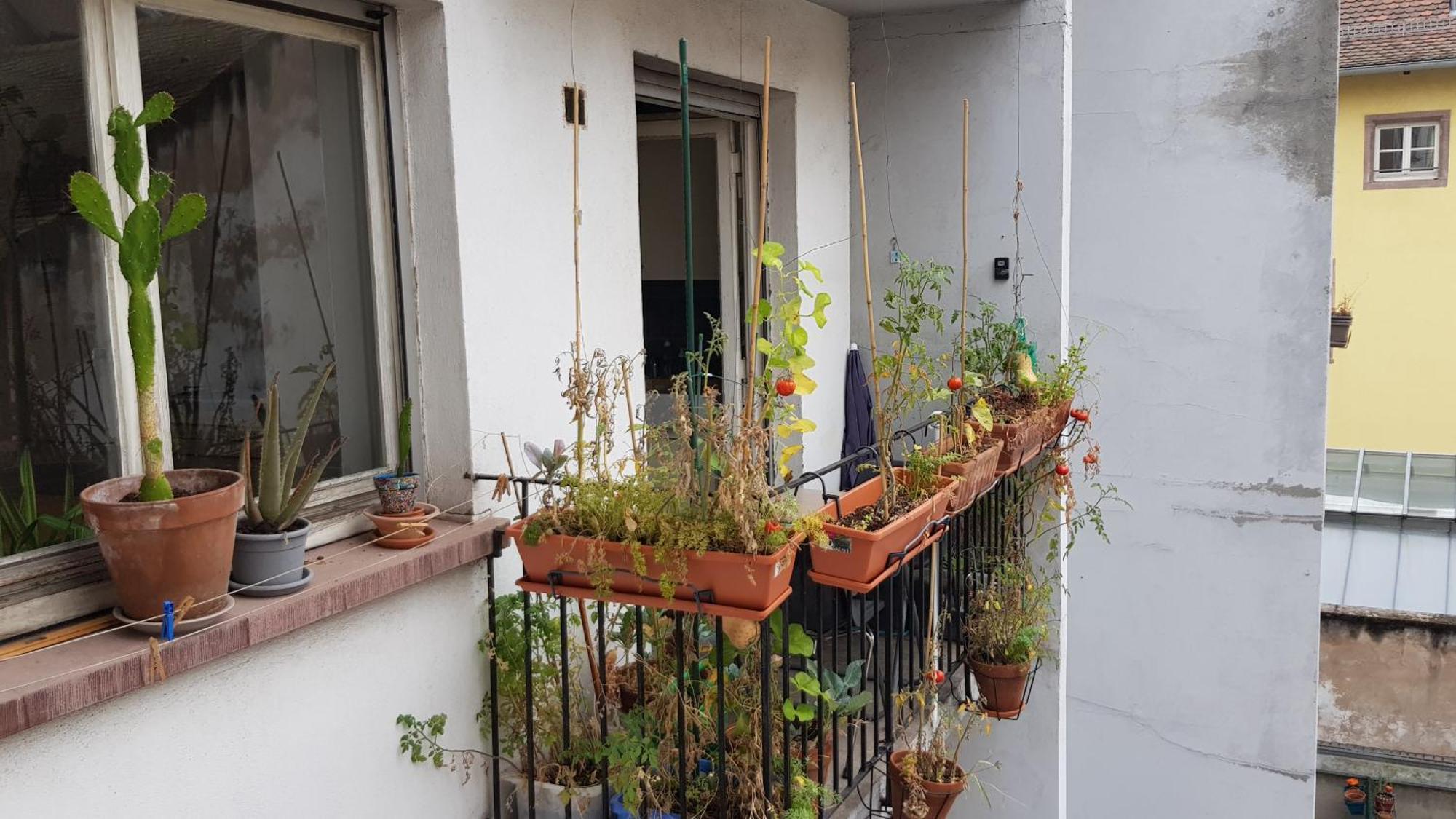 La Puisatiere 80 M2 Appartement *