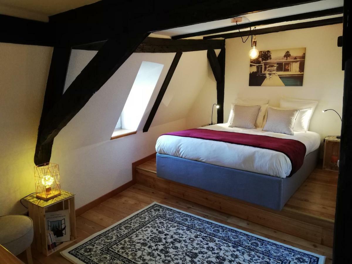 Cosy Duplex Cathedrale Au Bord De L'eau Appartement Strasbourg