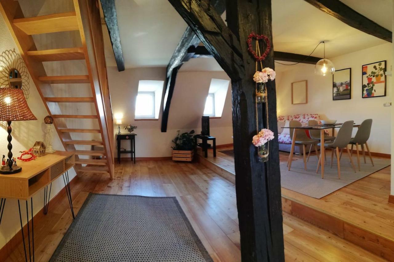 Appartement Cosy Duplex Cathedrale Au Bord De L'eau Strasbourg