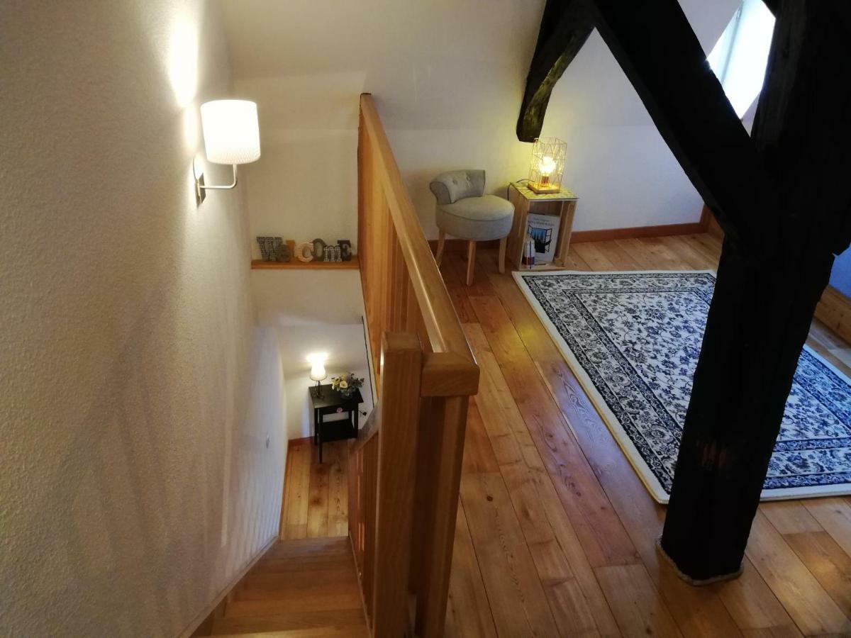 Cosy Duplex Cathedrale Au Bord De L'eau Appartement Strasbourg