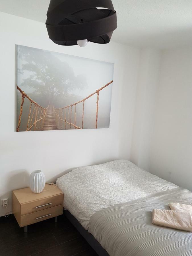 Appartement 3p Proche Centre Straatsburg