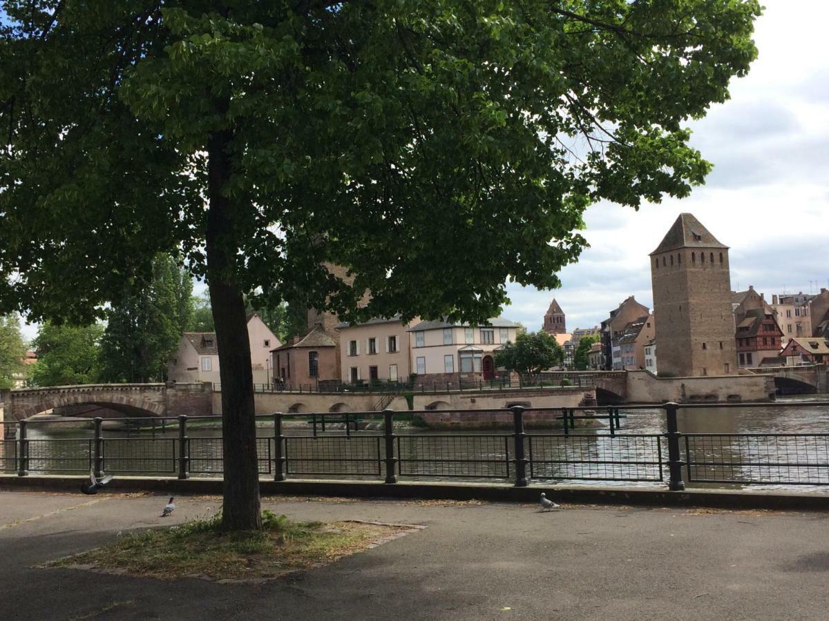 Lola Strasbourg