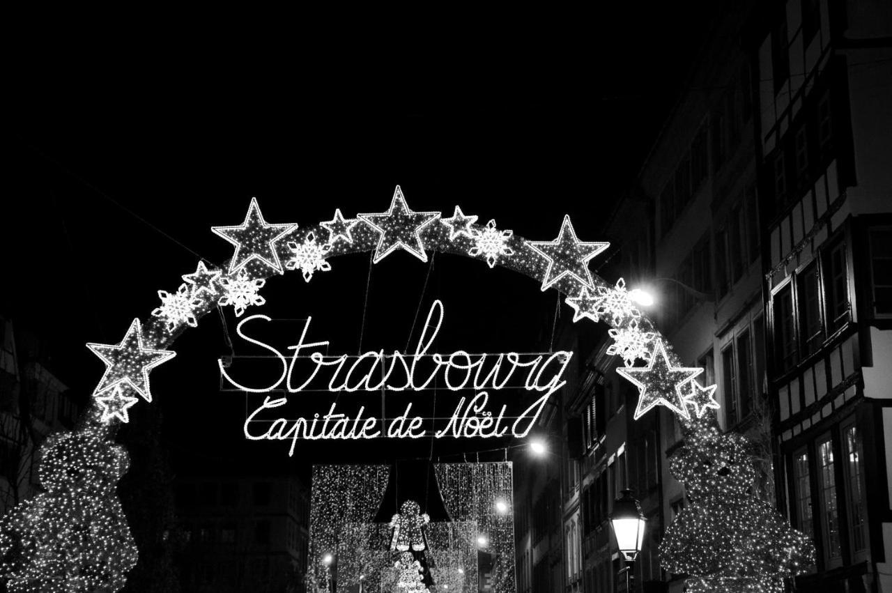 Le Nid De L'ill, Magnifique Duplex Cosy Petite France Straßburg
