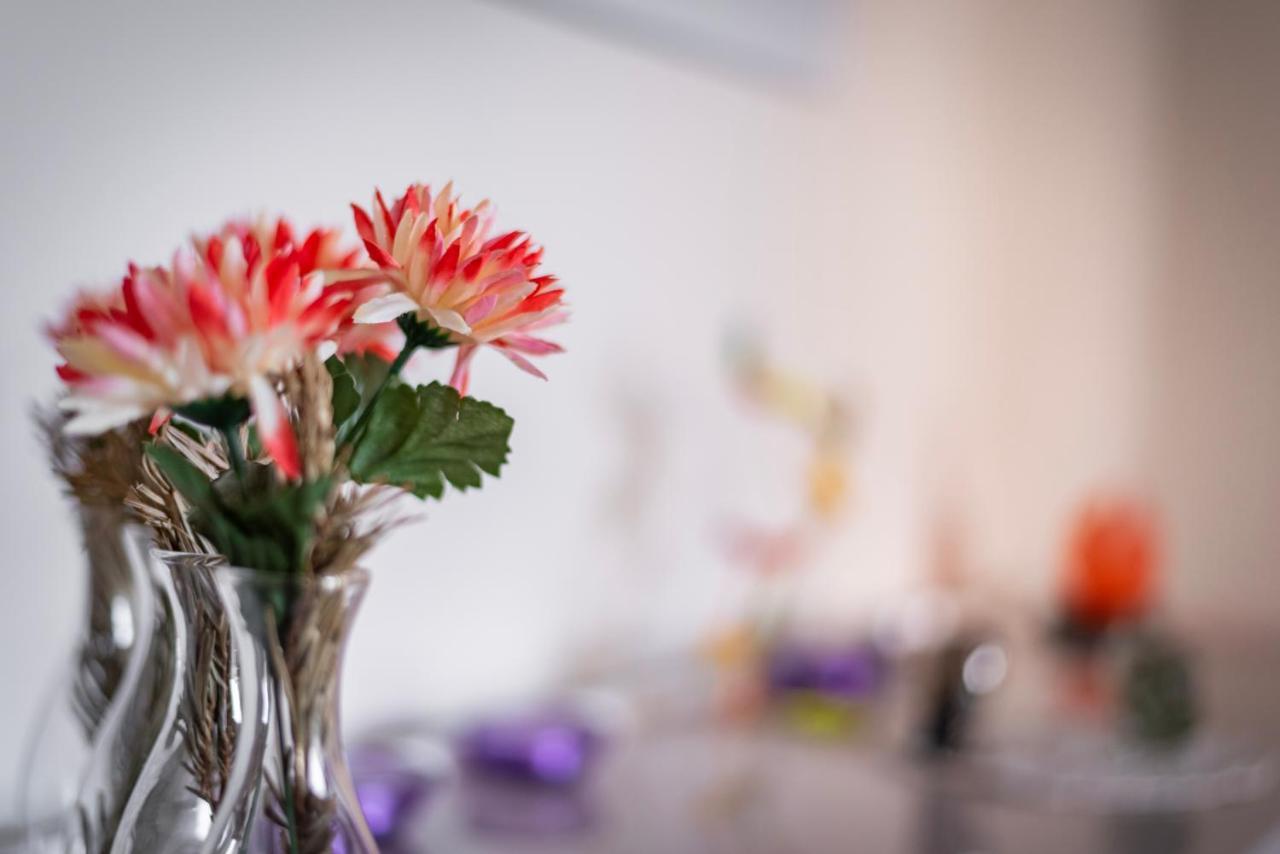 - Cosy Contades