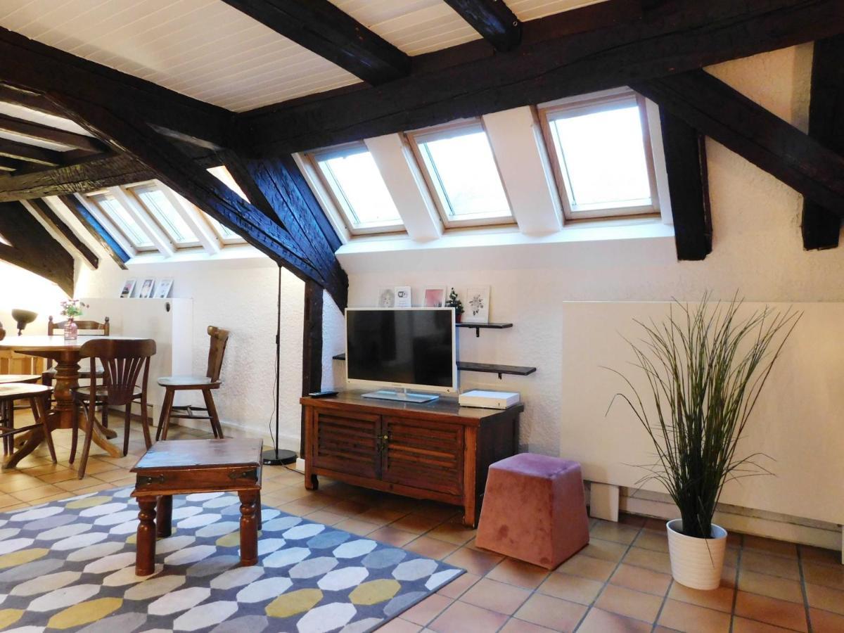 Apartment Appartement Typique Et Cosy A Deux Pas De La Cathedrale Straßburg