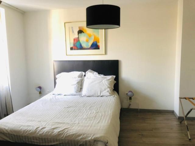 A L'ill - & Hyper Centre Apartment Straßburg