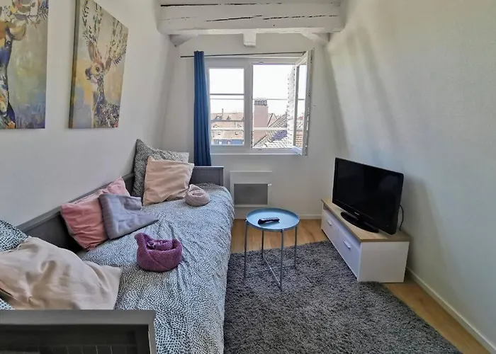 ** Appartement Cathedrale Strasbourg Centre**