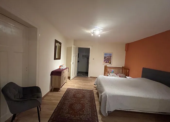 Bel Appartement En Rdc Proche Strasbourg Nice Apartment Very Near Strasbourg
