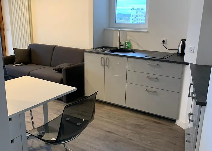 Appartement 3 Pieces 75 M2 Pres Arret Tram Strasbourg