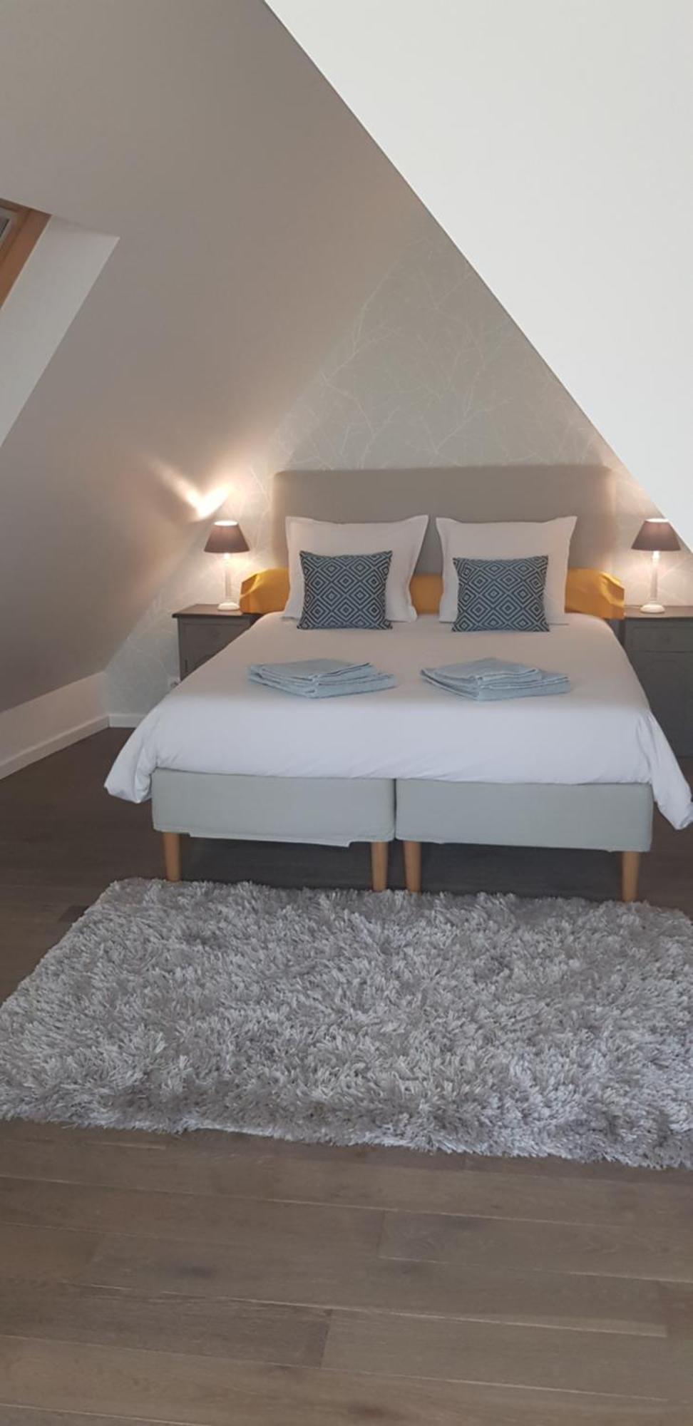Le Nid De L'ill, Magnifique Duplex Cosy Petite France * Straßburg