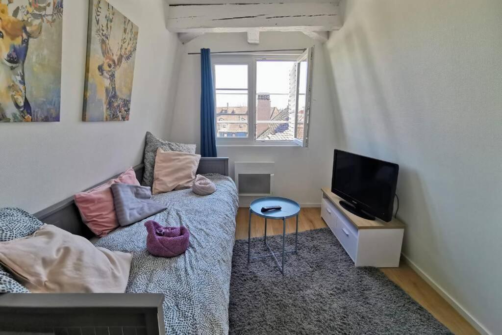 ** Cathedrale Centre** Apartment Strasbourg