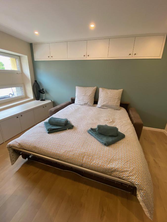 Le Cocon Strasbourgeois Apartment Straßburg