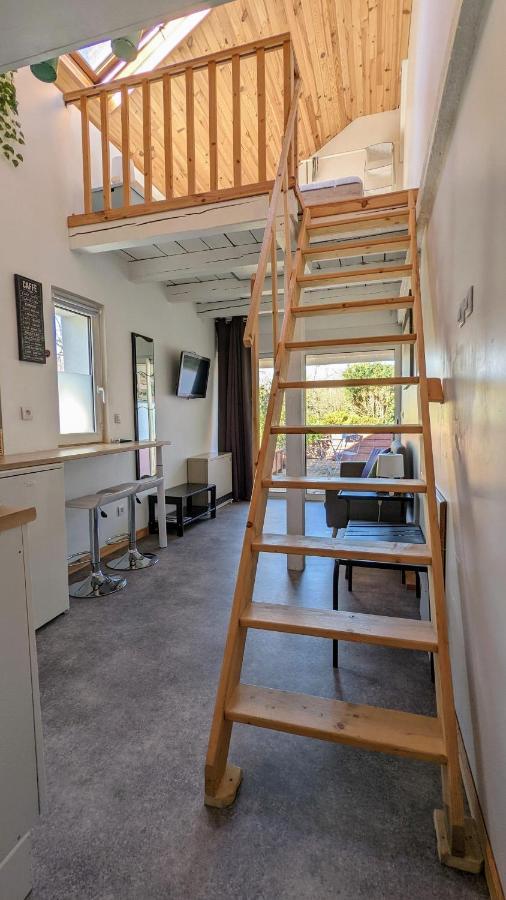 Mezzanine Chez Papou, Et Forêt Appartement Strasbourg