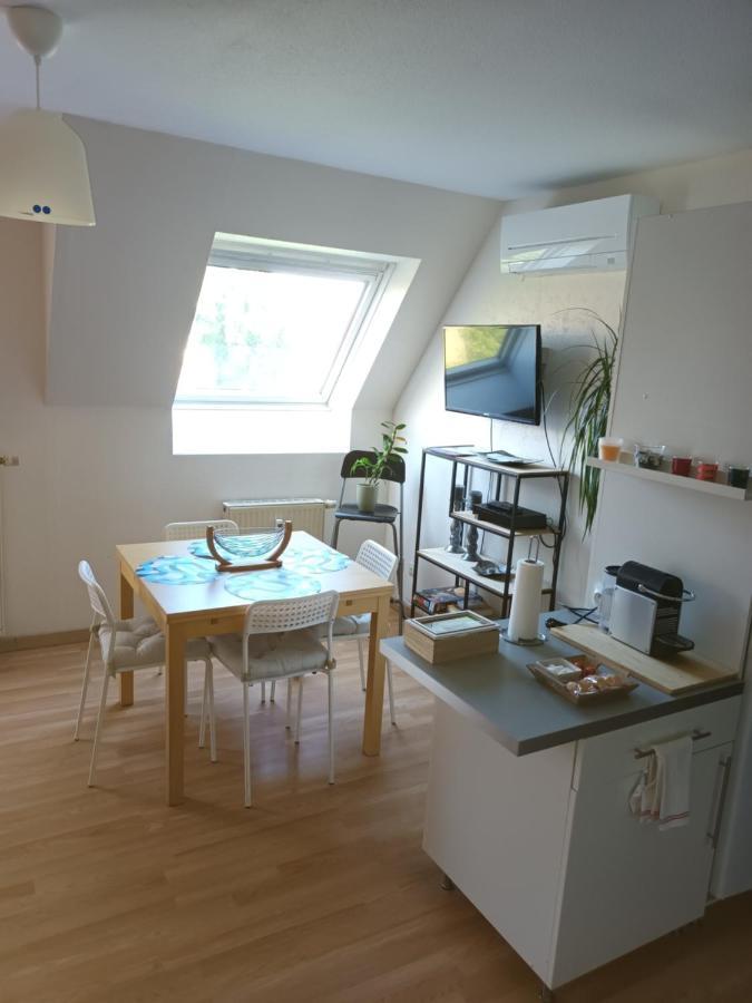 Cosy Colette,climatisé Avec Stationnement Gratuit. Strasbourg