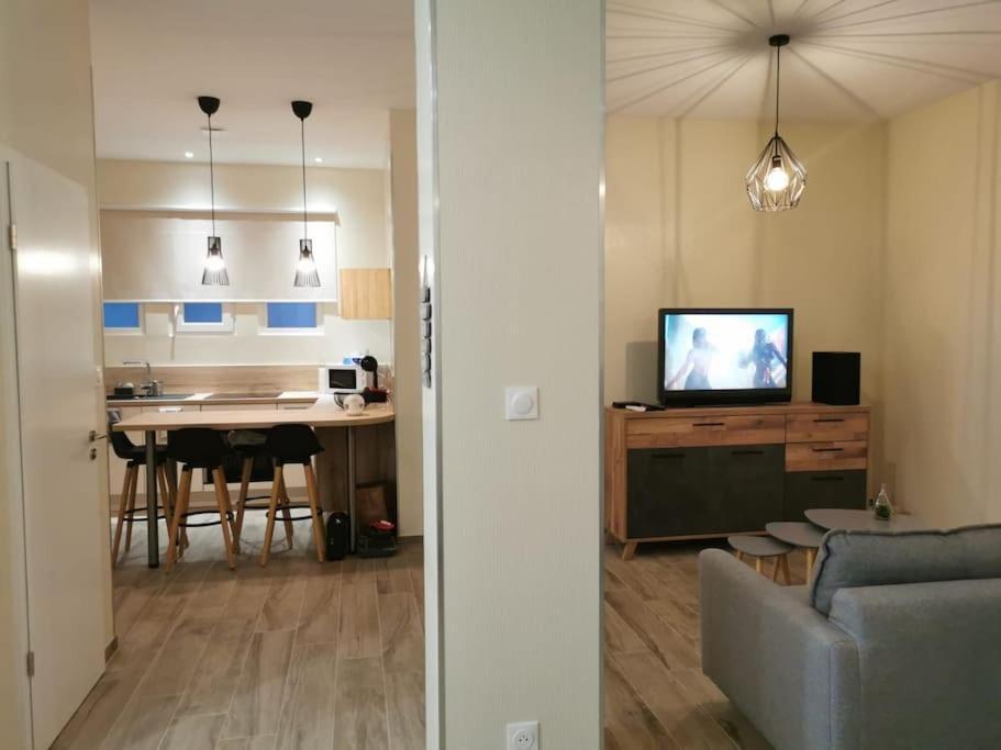 Ravissant Loft Avec Jacuzzi Pour Séjours Détente Appartement Strasbourg
