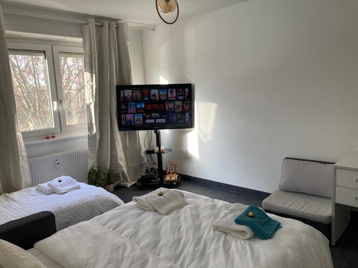 «la Source De Valaura » De L'eau A L'or Apartment Straßburg