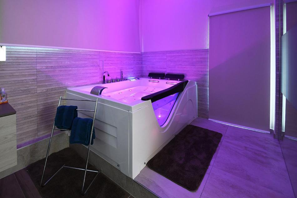 Ravissant Loft Avec Jacuzzi Pour Séjours Détente